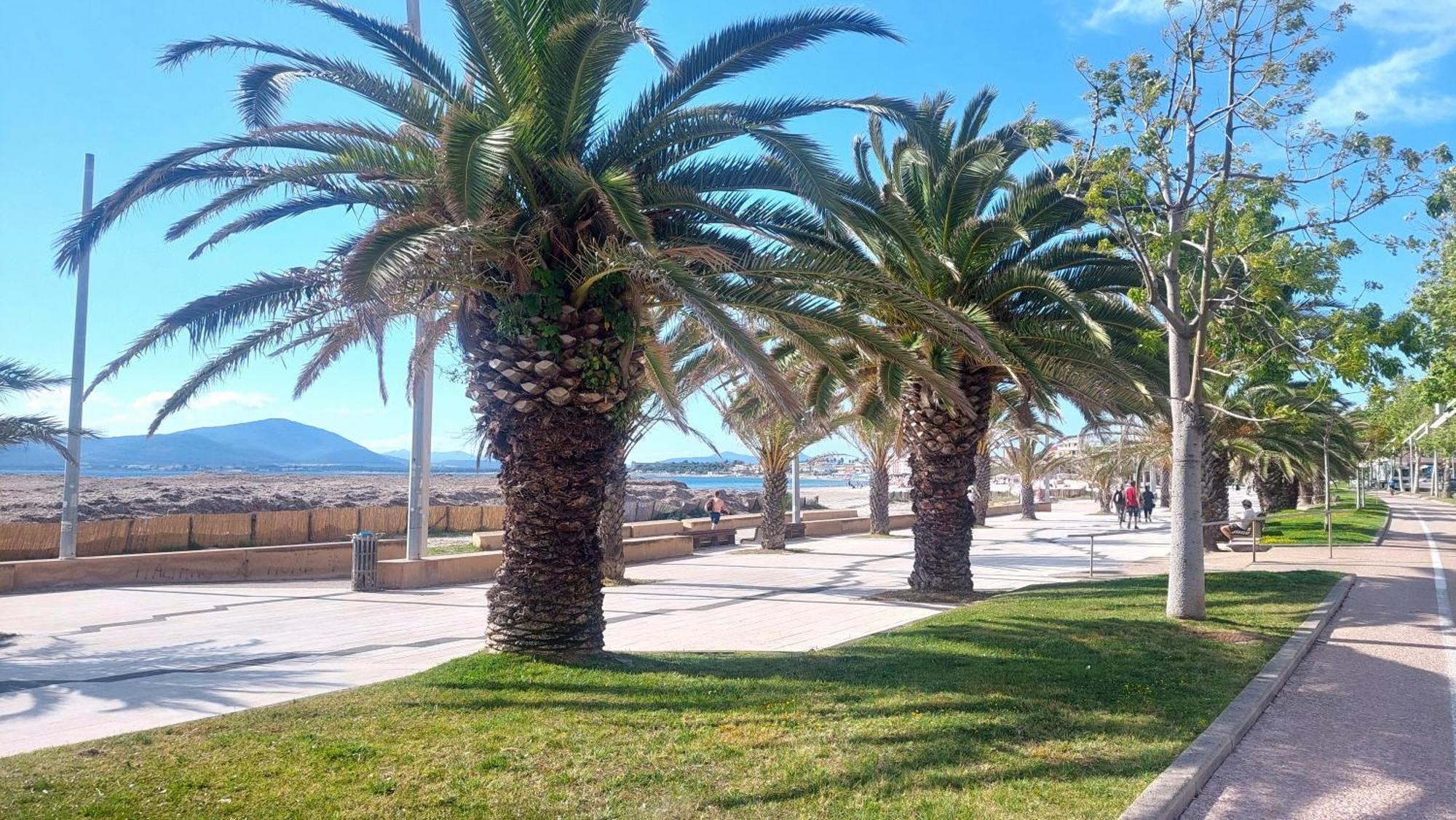 Lovealghero Stanze In Attico Vista Mare Ngoại thất bức ảnh